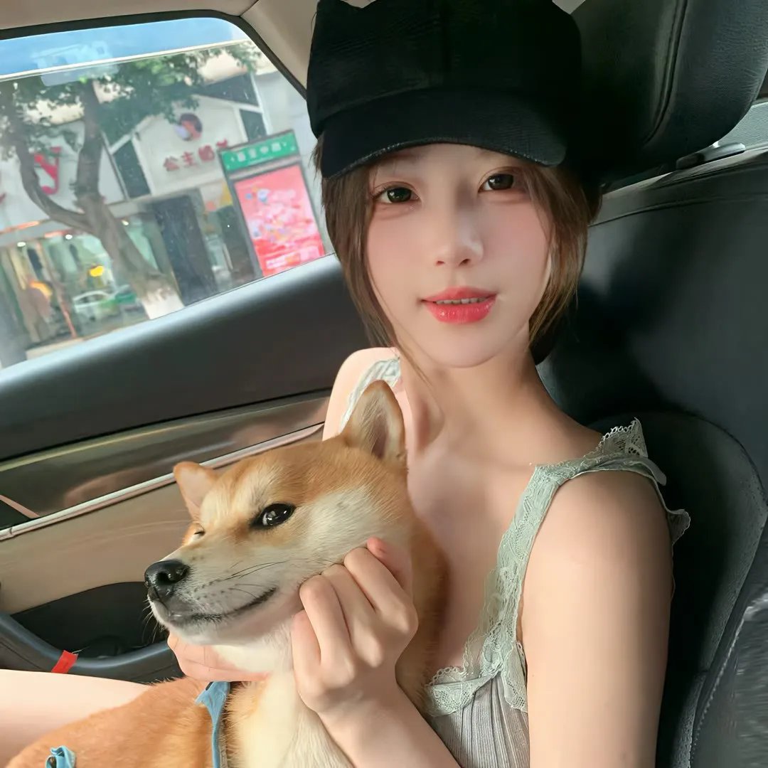 女总裁的全能赘婿